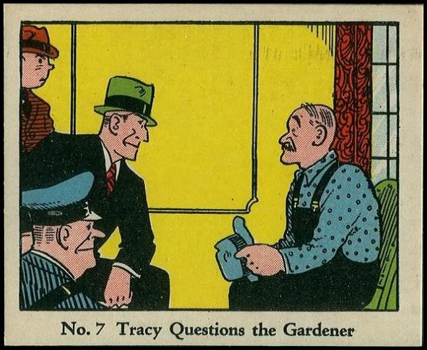 7 Tracy Questions The Gardener